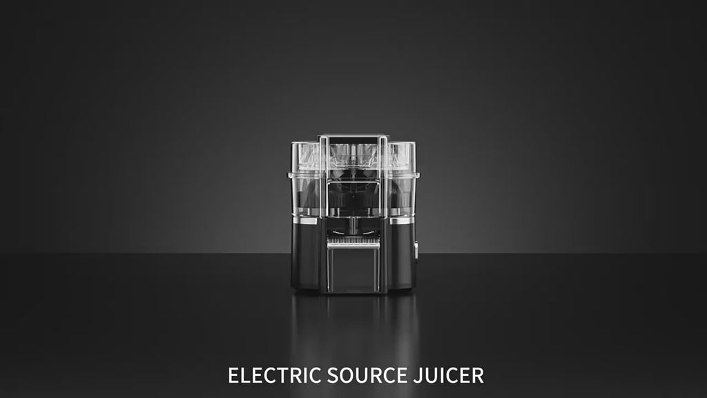 Dual Head Electric Juicer
