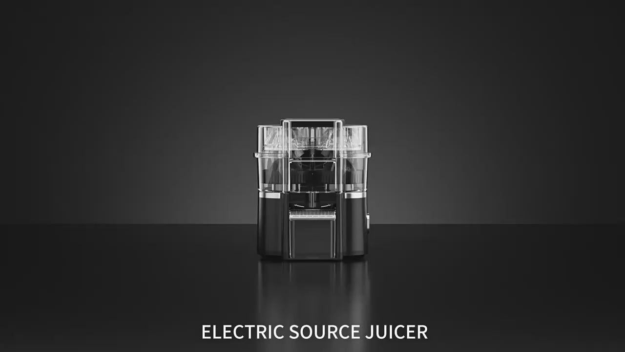Dual Head Electric Juicer